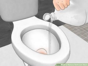رفع گرفتگی چاه توالت با اسید